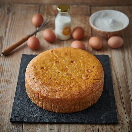 10 inch round vanilla plain sponge cake 